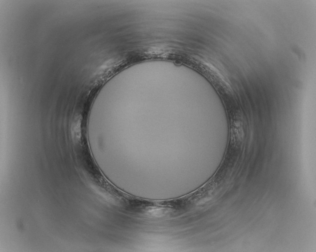X0000115180504200911181429