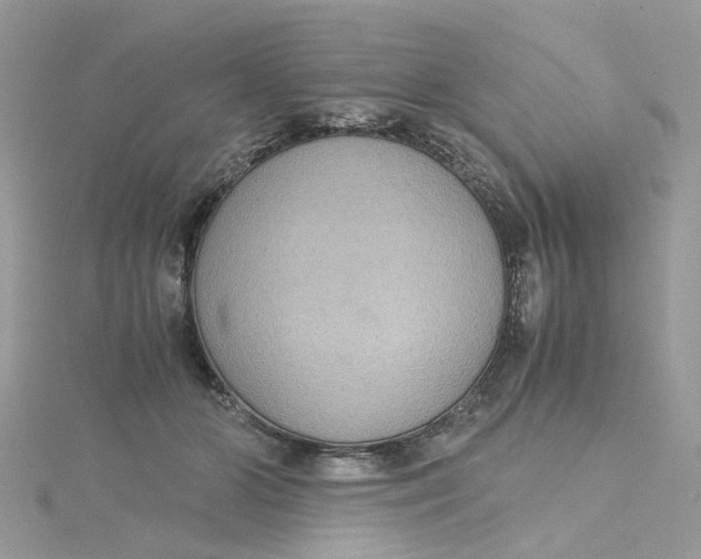 X0000115180510200911181429