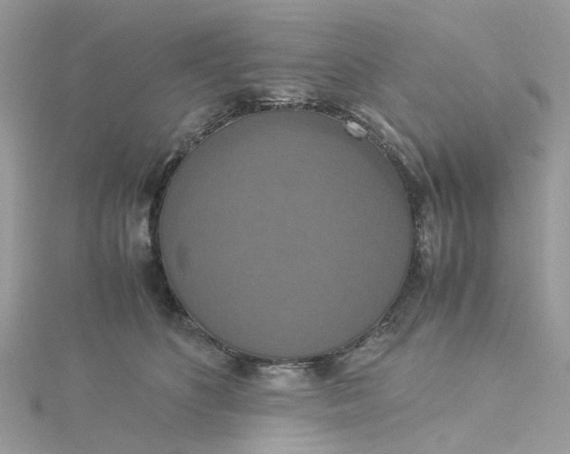 X0000115180516200911181429