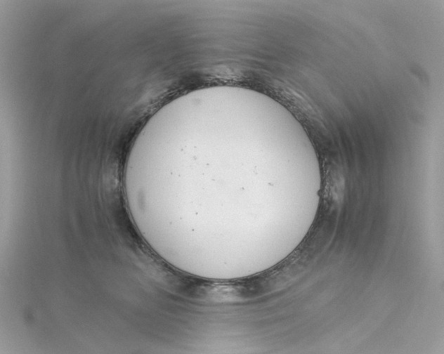 X0000115180518200911181429