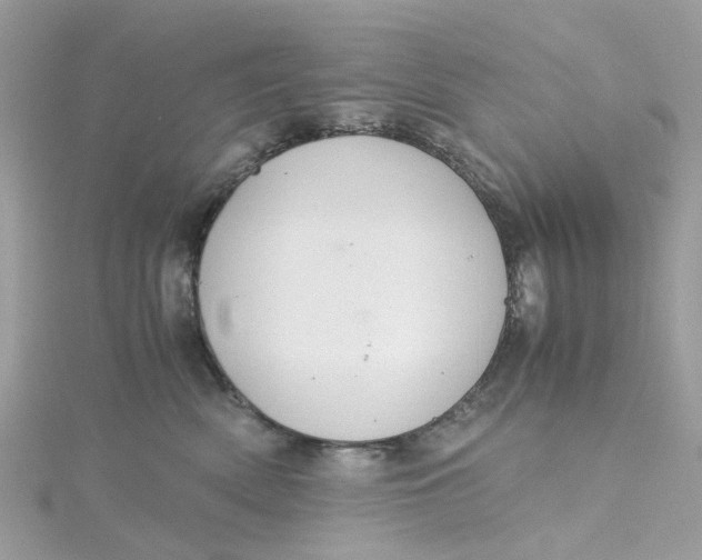 X0000115180522200911181429