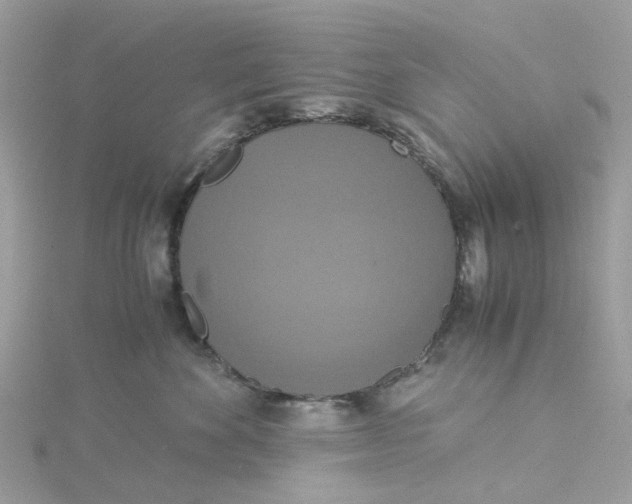 X0000115180524200911181429