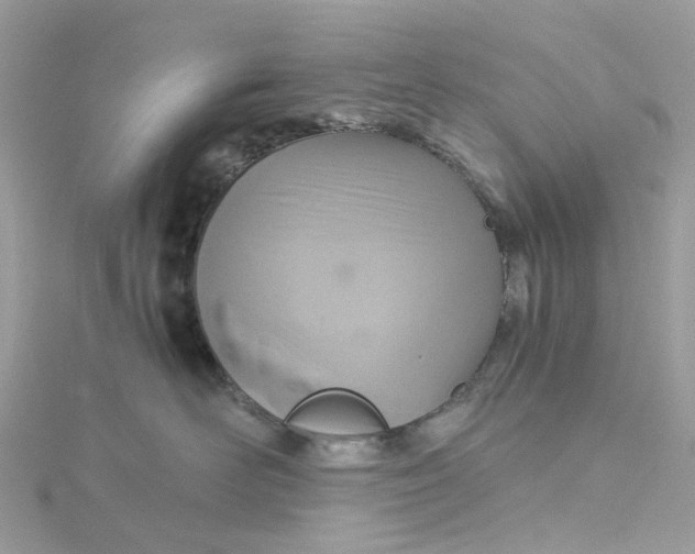X0000115180526200911181429
