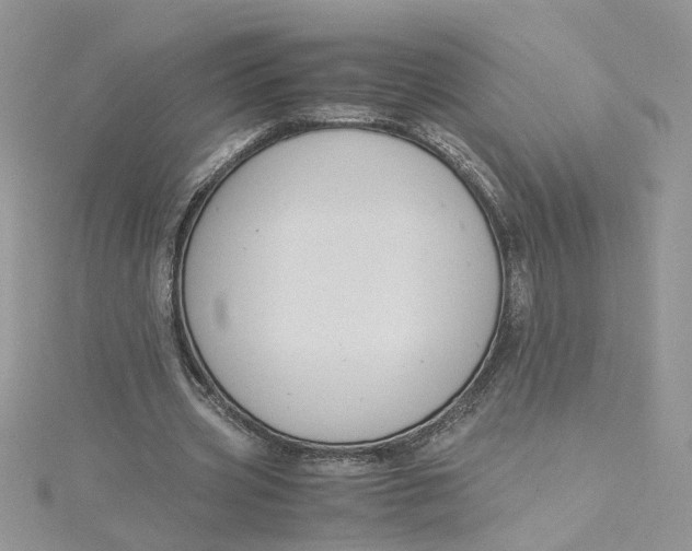 X0000115180533200911181428