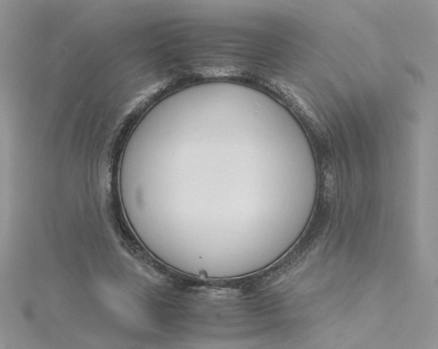 X0000115180539200911181429