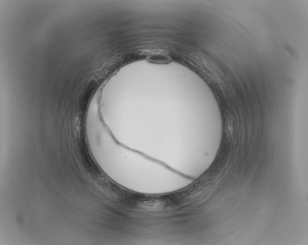 X0000115180551200911181429