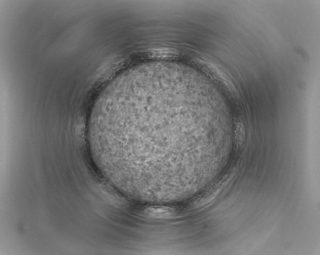 X0000115180557200911181429