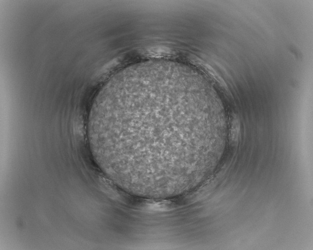 X0000115180569200911181429