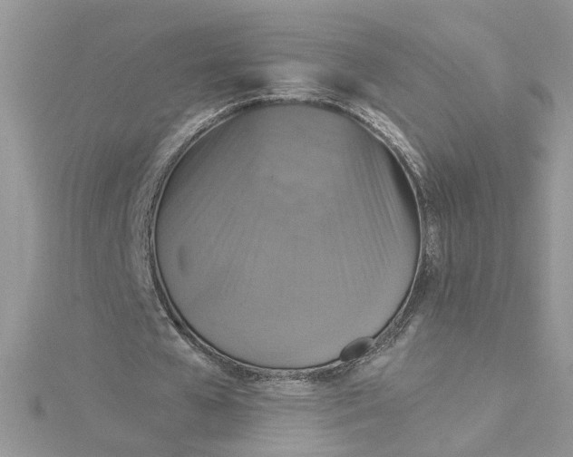 X0000115180577200911181428