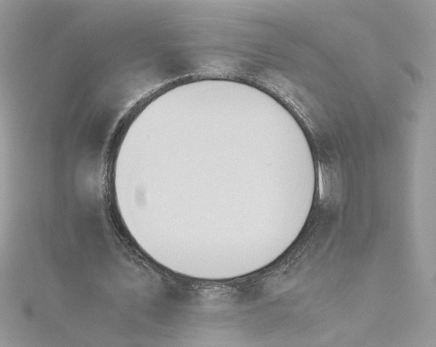 X0000115180579200911181428