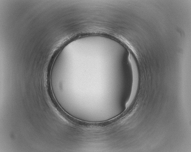 X0000115180581200911181428