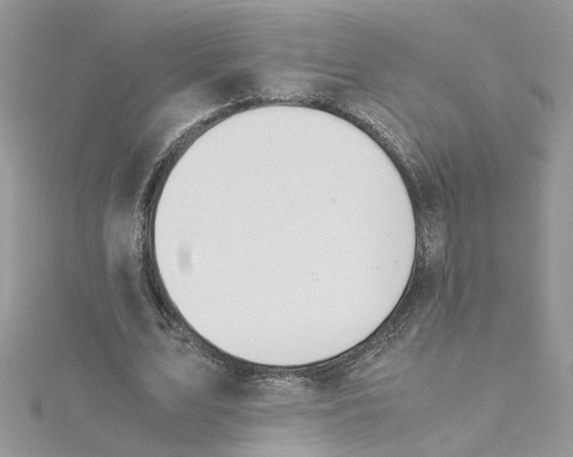 X0000115180583200911181428