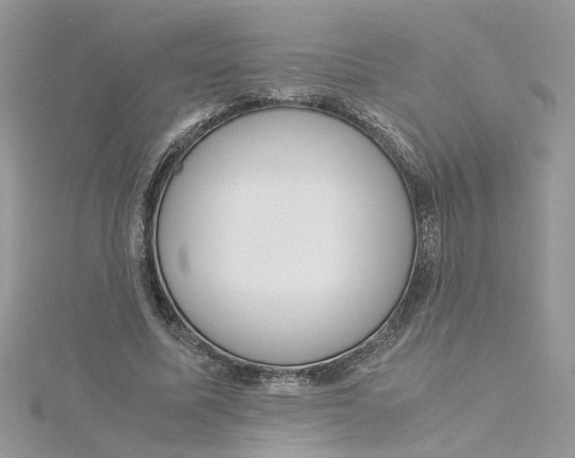X0000115180587200911181428