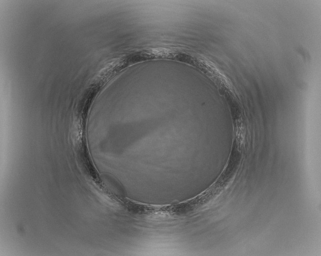X0000115180593200911181428