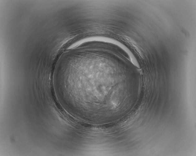 X0000115180596200911181428