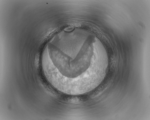 X0000115180600200911181428