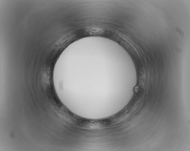 X0000115180604200911181428