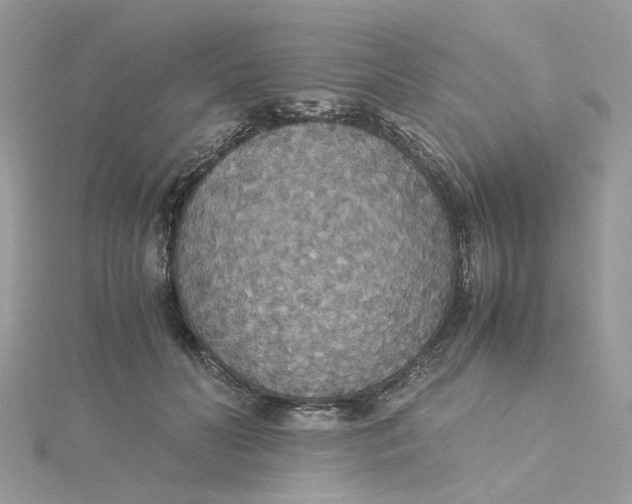 X0000115180606200911181428