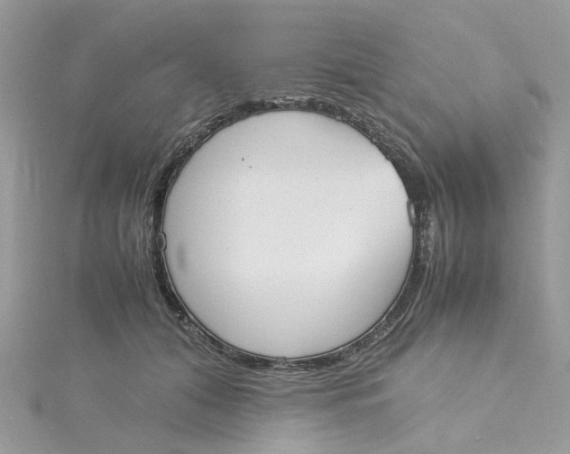 X0000115180608200911181428