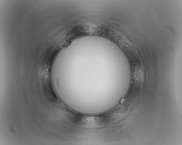 X0000115180611200911181428