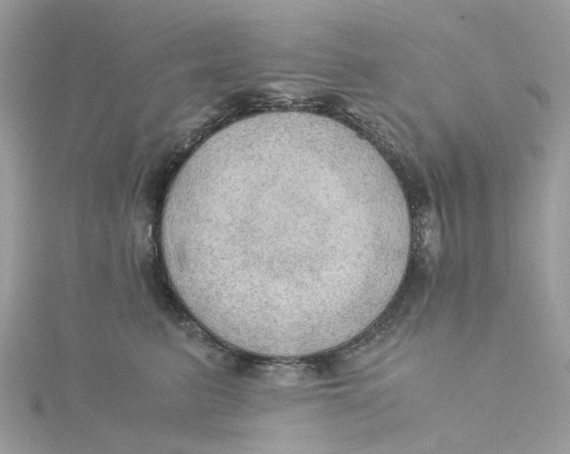 X0000115180615200911181428