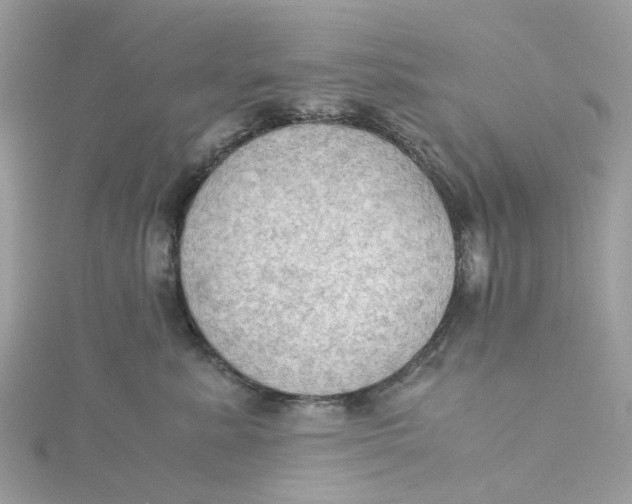 X0000115180619200911181428