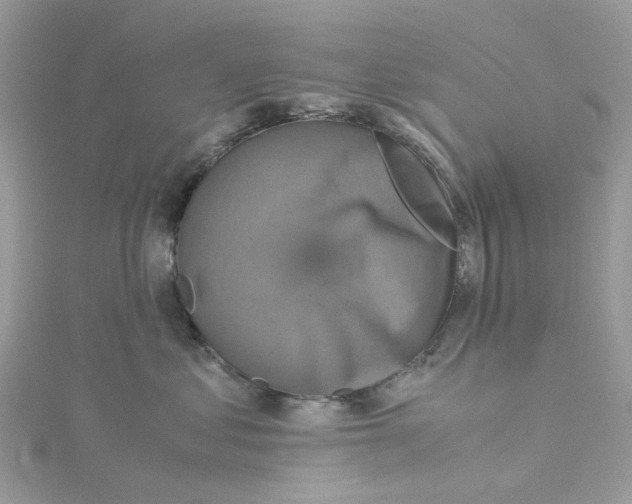 X0000115180621200911181428