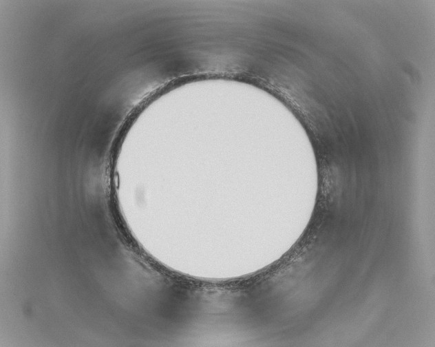X0000115180632200911181427