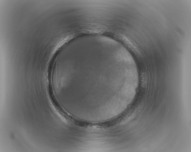X0000115180634200911181427
