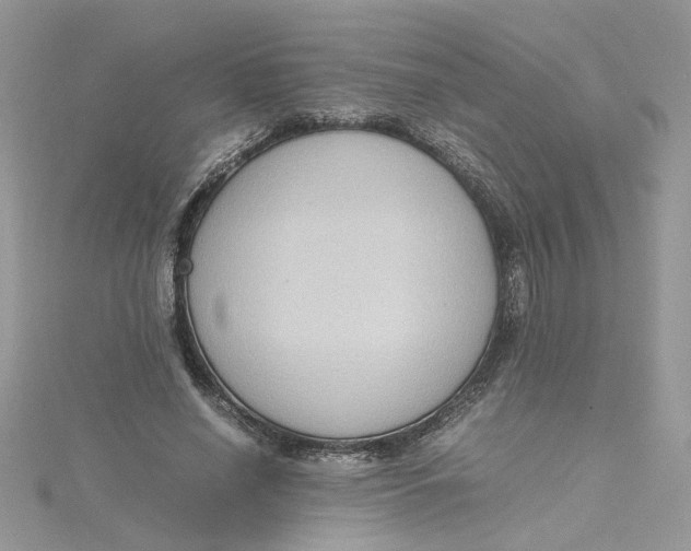 X0000115180638200911181427