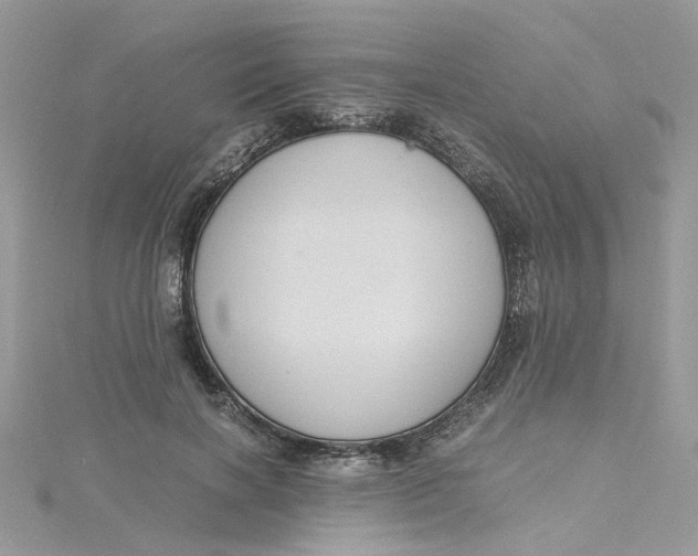 X0000115180646200911181427