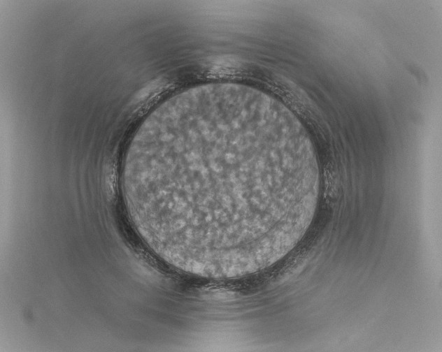 X0000115180648200911181427