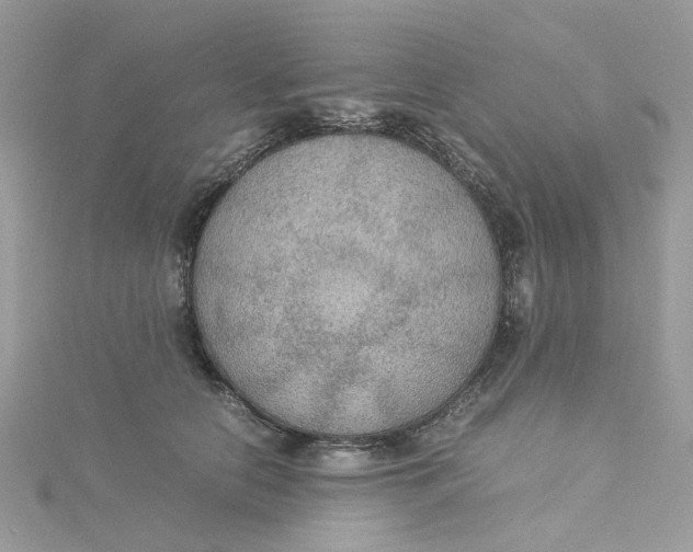 X0000115180658200911181428