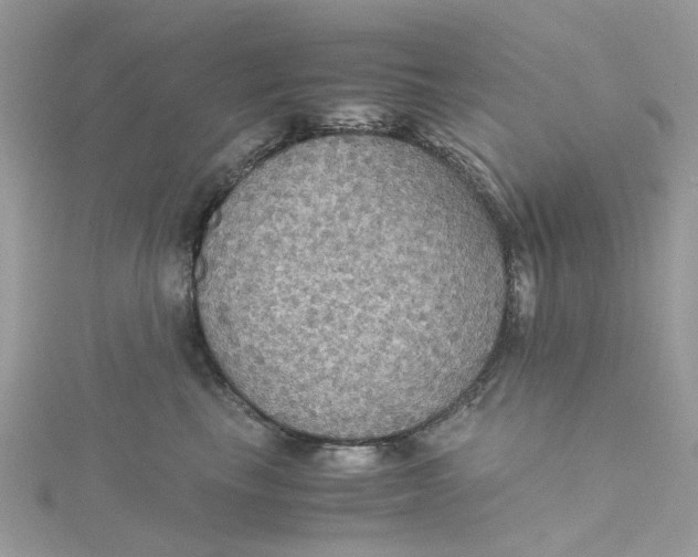 X0000115180665200911181428