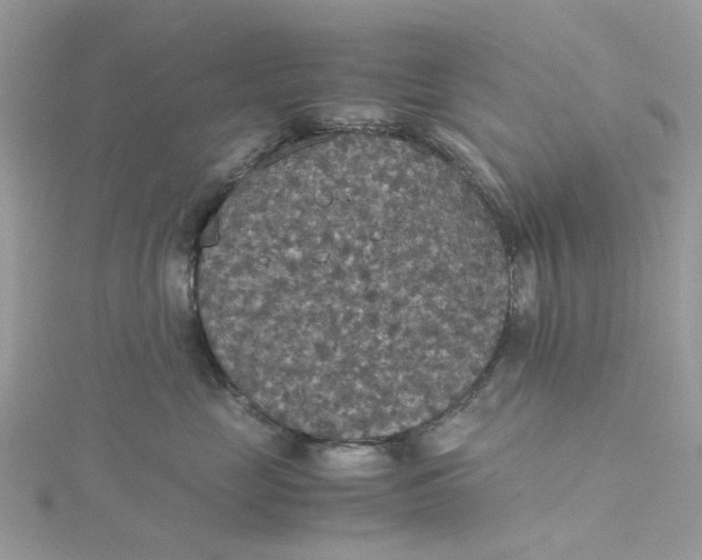 X0000115180669200911181428