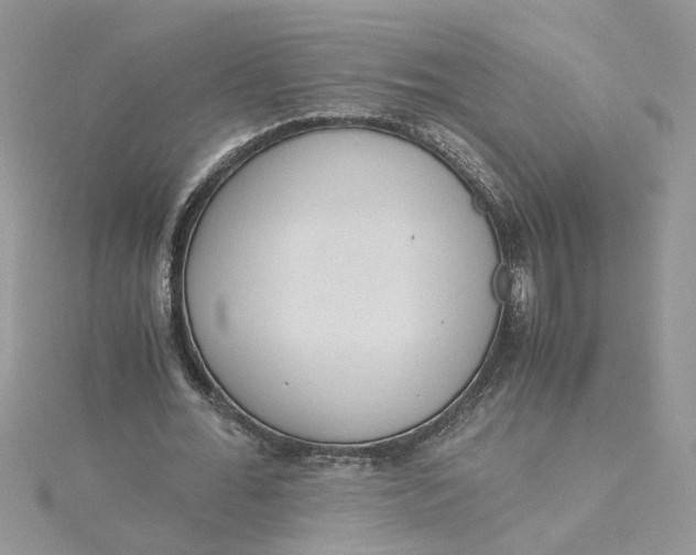 X0000115180676200911181427