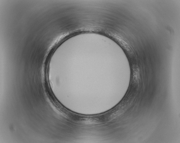 X0000115180678200911181427