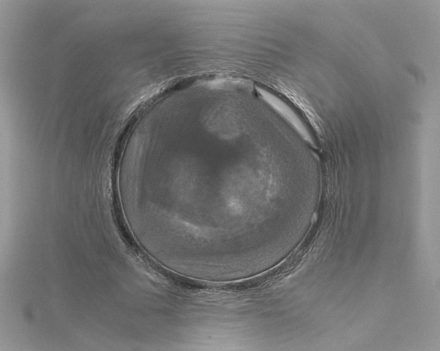 X0000115180681200911181427