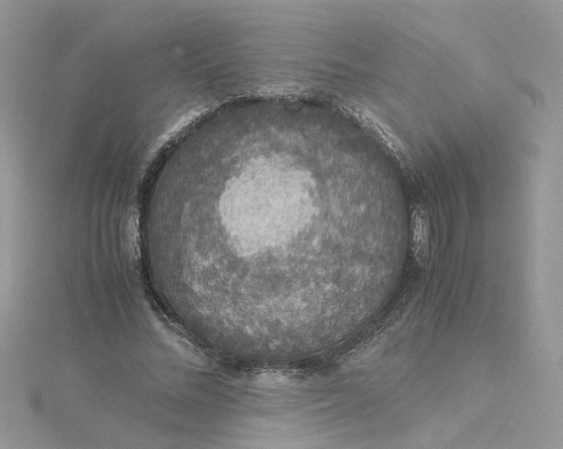 X0000115180684200911181427