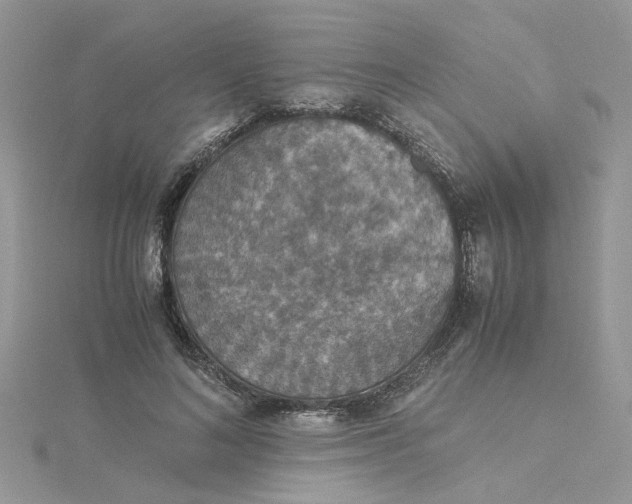 X0000115180692200911181427