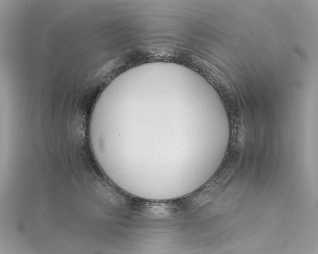 X0000115180710200911181427