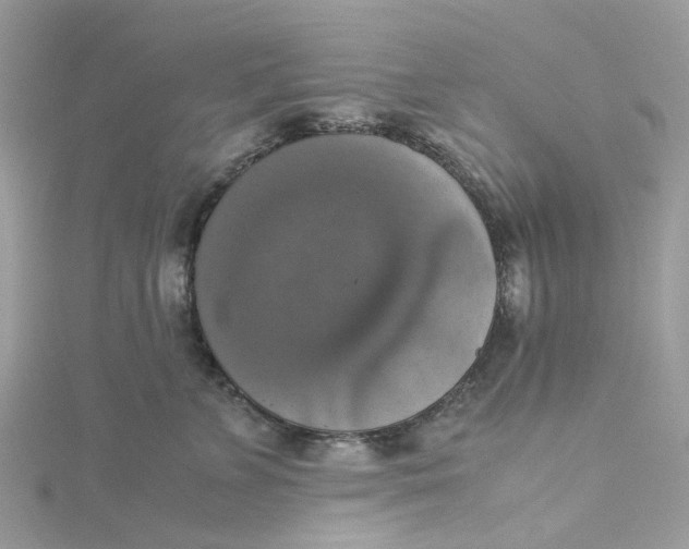 X0000115180715200911181427