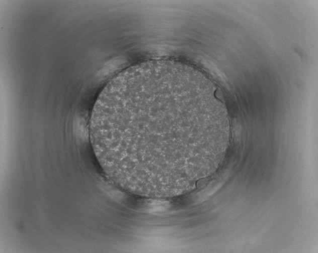 X0000115180719200911181427