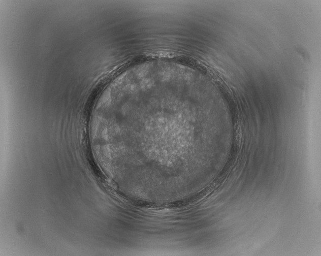 X0000115180747200911181426