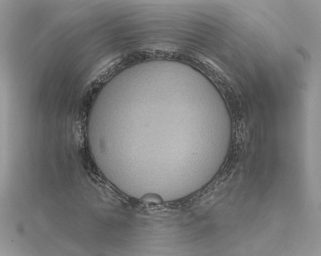 X0000115180774200911181426