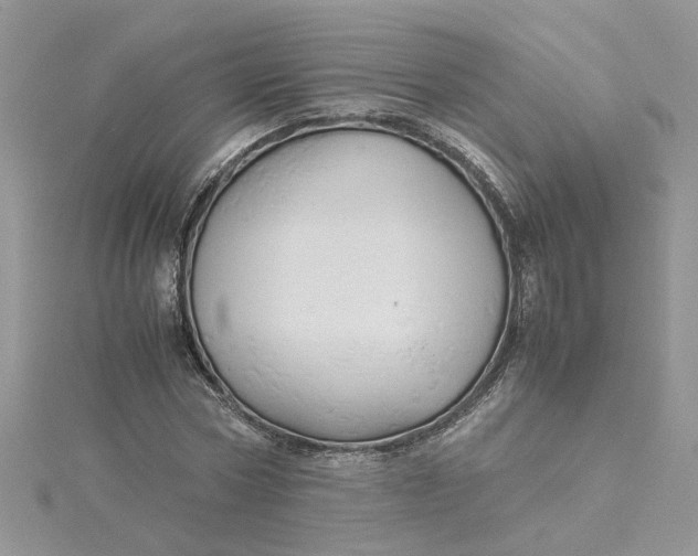 X0000115180778200911181426