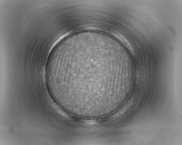 X0000115180798200911181426