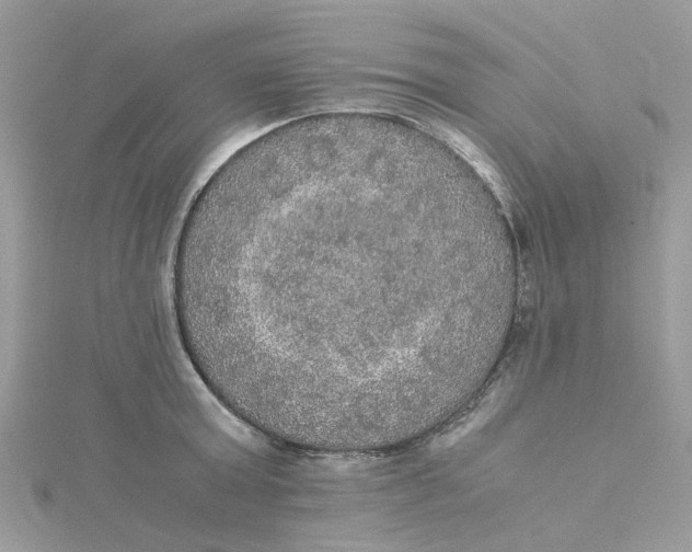 X0000115180803200911181425