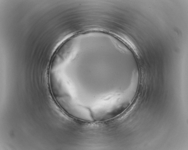 X0000115180806200911181425
