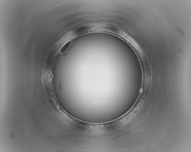X0000115180809200911181425